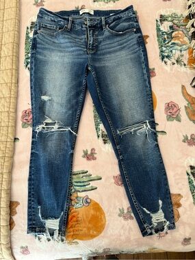 BKE Payton Mid Rise Ankle Skinny 29x25